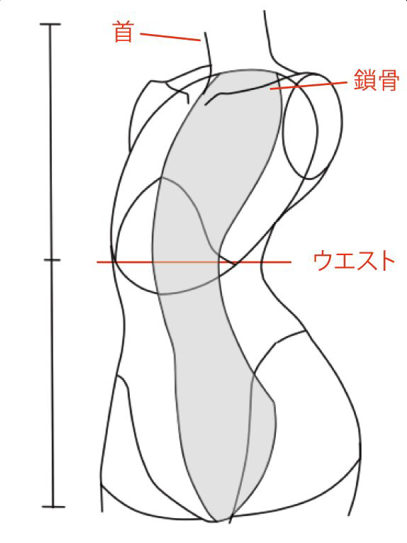 骨盤を簡略化する方法 絵師ノート