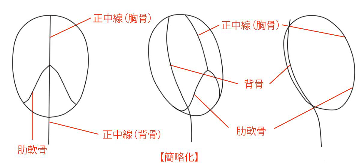 綺麗な唇の描き方 塗り方のコツを完全マスター 絵師ノート