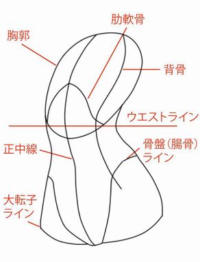 ナナメ向きの胴体の描き方 絵師ノート