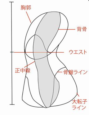 ナナメ向きの胴体の描き方 絵師ノート