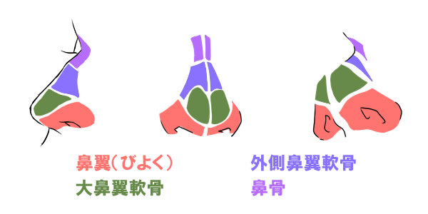 リアルな鼻の描き方から鼻の基本を学ぶ 絵師ノート