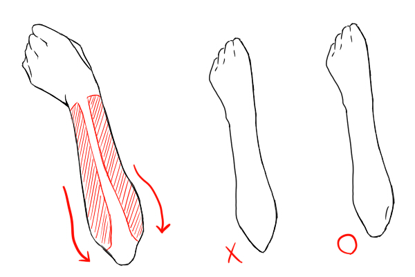 肩 腕の描き方 絵師ノート