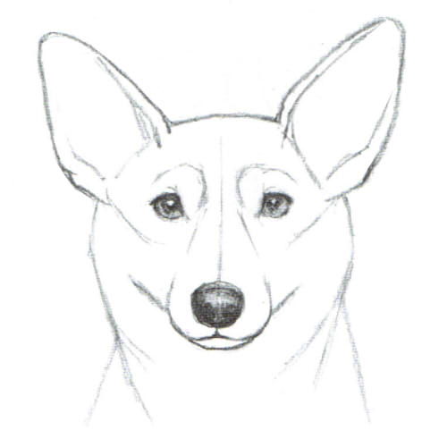 笑顔から怒り顔まで13選 犬の表情の描き方 絵師ノート