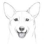 基本のデッサン手法を使った犬の描き方 絵師ノート
