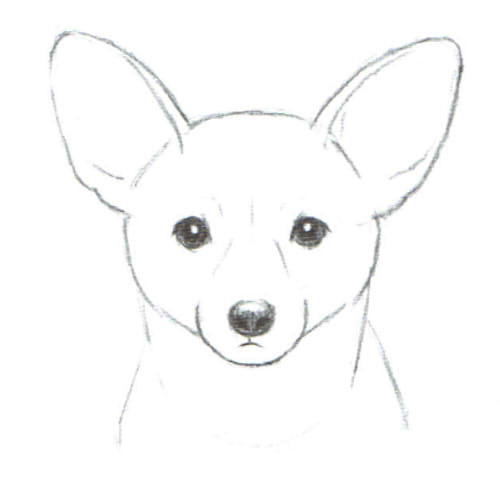 基本のデッサン手法を使った犬の描き方 | 絵師ノート