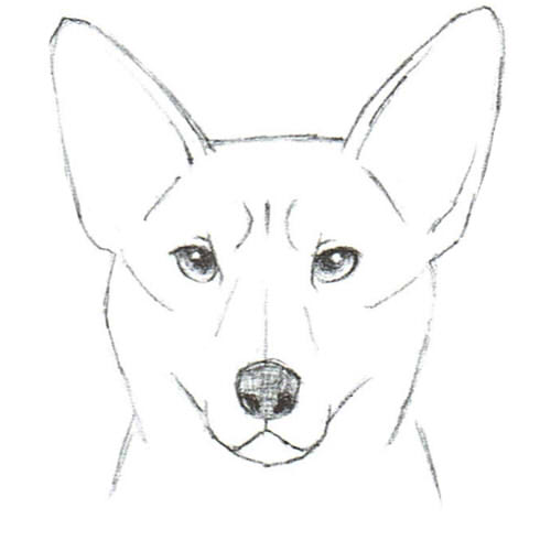 笑顔から怒り顔まで13選 犬の表情の描き方 絵師ノート