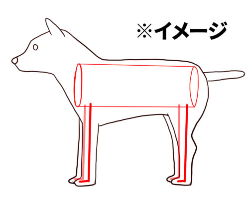 基本のデッサン手法を使った犬の描き方 絵師ノート