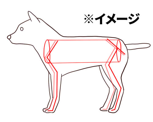 基本のデッサン手法を使った犬の描き方 絵師ノート