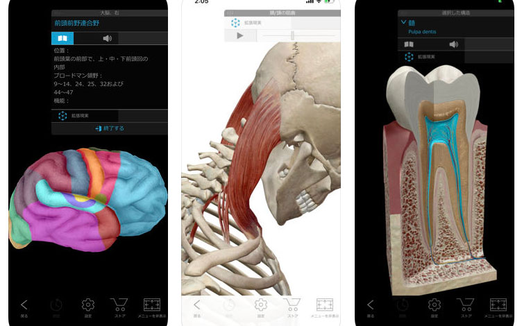 3000円が96 Offの1円 解剖もできる3d人体模型アプリ 絵師ノート