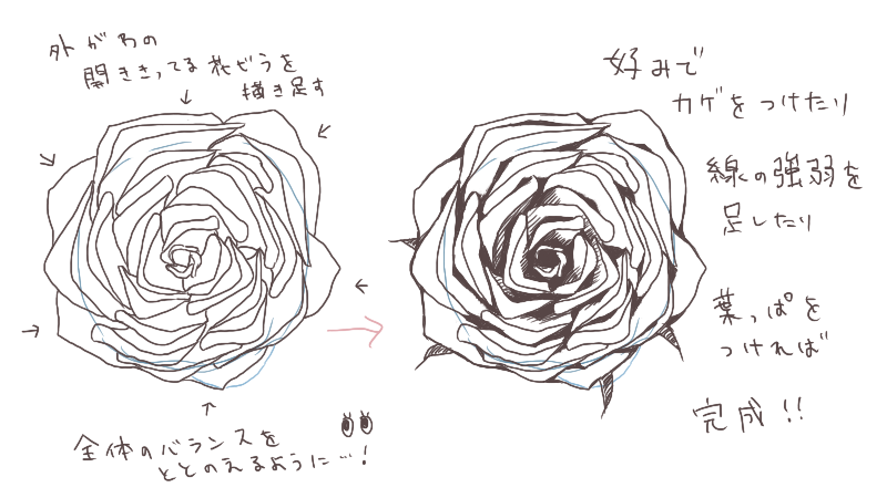 超適当なのに完全に薔薇 簡単なバラの描き方 絵師ノート