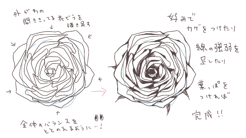 トチの実の木 そう 快い 薔薇 簡単 Fuji Q Jp