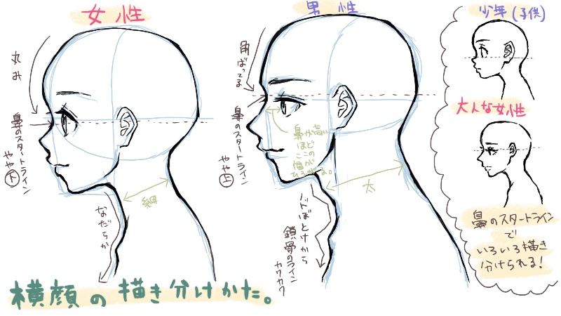 横顔の描き方 横顔が失敗する10の原因を知ろう 絵師ノート