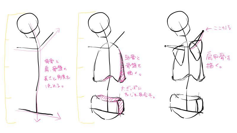 背中の描き方 肩甲骨の動きに注意してアタリをとろう 絵師ノート