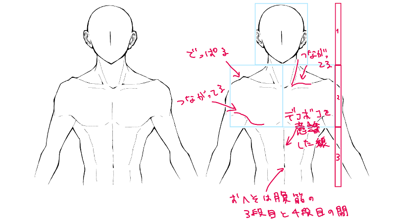 男らしい上半身の描き方 アタリのつけ方 絵師ノート