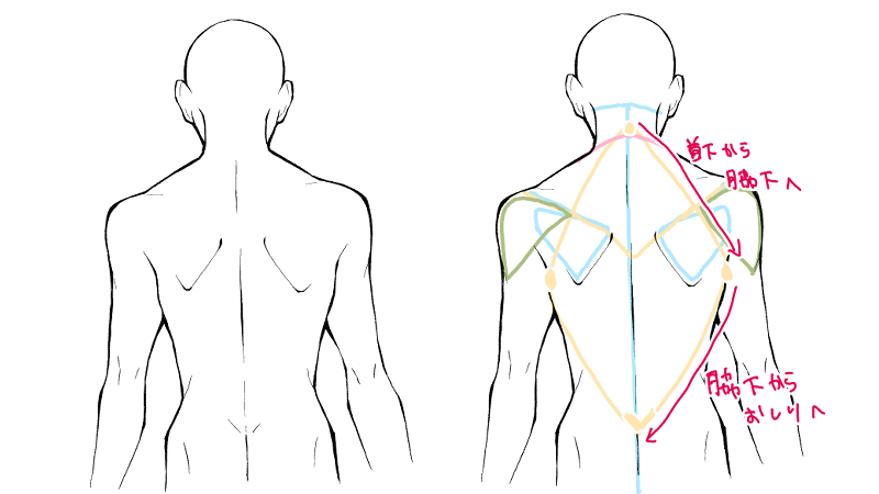 無関心 感性 かすかな 男性 背中 描き 方 Fuud Jp